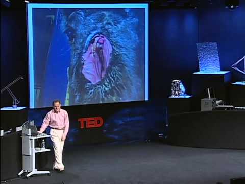 how to rebuild heart muscle