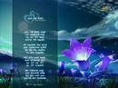 Priya Suriyasena/ Sooriyasena -- Etha Ran Viman Original Song Priya Suriyasena/ Sooriyasena -- Etha Ran Viman Original Song