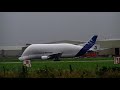 Airbus A300-600ST / Beluga #1