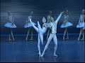 Swan Lake Pas D\