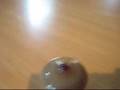 Peaches and Cream Spinning Glass Top #14 2008