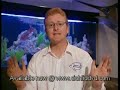 Instructional Cichlid Aquarium Guide Instructional Cichlid Aquarium Guide