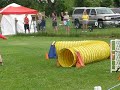 Ruby/Jodi Spot On Agility