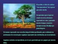 Taller Perdon...Arte (Libert.Ad)
