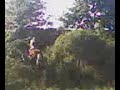 galop avec mon cheval de trait!!!!