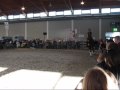 pferd-bodensee-2008.html