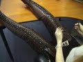 When Custom Boots go WRONG Part 3