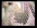 videos de Terence Mckenna - Alien Dreamtime Pt 2/5