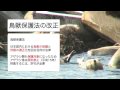 アザラシに揺れる村 〜北海道稚内市〜 後編