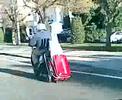Portaequipaje para ciclomotores
