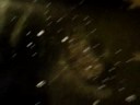 my pond steaming.mp4 my pond steaming.mp4