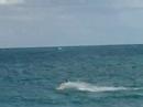 Kite Surfing
