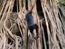 Lost.flv