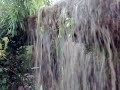 04122010179-004.mp4 كشكول تركي في سهول تادلة -1