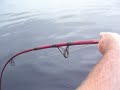 Outboard Shark fishin