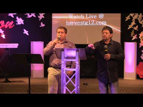 how to harvest curry