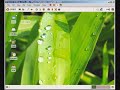 Hiweed GNU/Linux 1.0.1 - Installazione