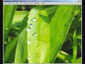 Hiweed GNU/Linux 1.0.1 - Installazione