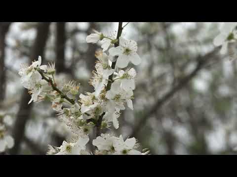 Расписан конкурс за кредите намењене као подршка пољопривредницима