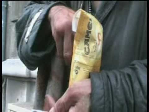 Image de prévisualisation YouTube