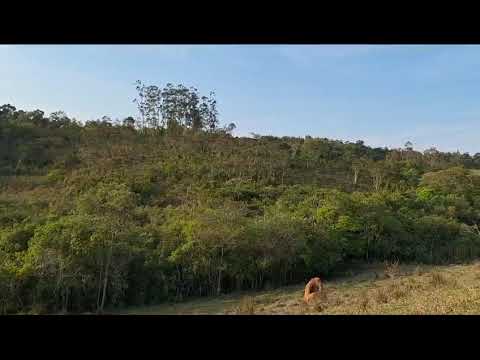 Vídeo