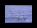 Finlandia in Inverno - Promo 30\"