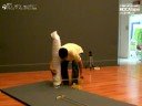 台北當代藝術館_第三屆台北數位藝術節_藝術家專訪 睦鎮耀