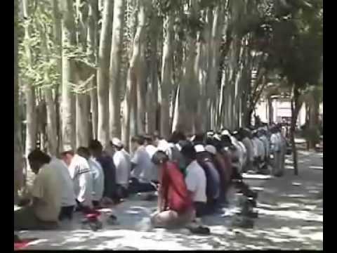 China Going Muslim - Have your say