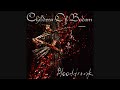 Children Of Bodom - Blooddrunk [HD]