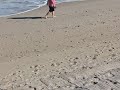 Sandpipers.avi