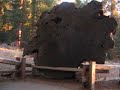 Bungled Snowboard Trip/encounter with Big Trees