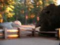 videos de Cool rock-mounted handrail and up to a cross-section