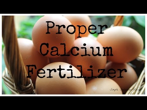 how to properly fertilize your garden