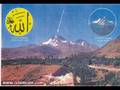 Miracles Of Allah
