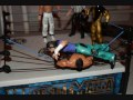 DPV Wrestling Association Wrestlemania PPV