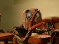 Coucou par Les P'tits Coucous