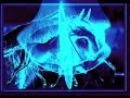 arabia-horses-2-.html