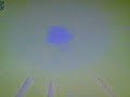 animation cartoon khorshid neinava ashura emam hossein imam hossain ashuraa ashura 06012009 (006)