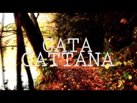 Os presentamos “Efemérides”, de Gata Cattana