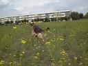 Afera Kamabeda Afera Kamabeda