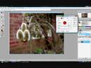 Photoshop Picture Retouche Tutorial