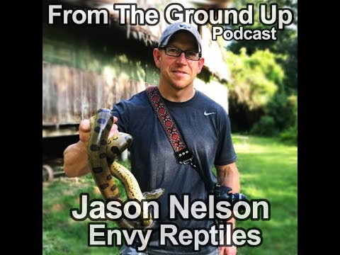 YouTube reptile video