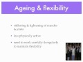 Keeping Flexibile.mov