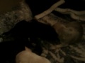 Puppies Messing With Eachother While Sleeping (: