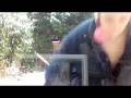 videos de JACK ASS ICE COLD PART 2