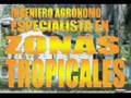 Universidad Autonoma Chapingo II