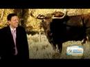 Funny Pet News #11 - Paris Hilton Pregnant?, A Burping Moose
