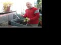 Grow Shrubs From Seed