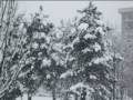 videos de Neve a Torino 2009