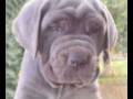 Que Preciosidades¡¡¡¡